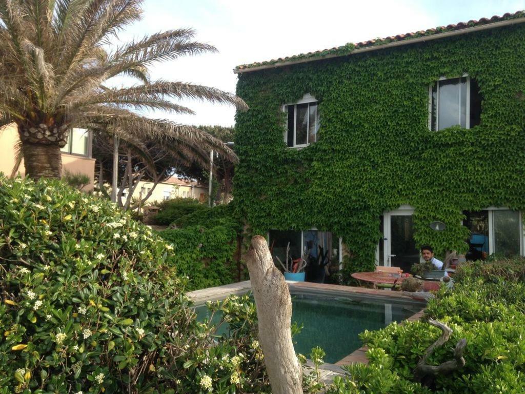 Un Coin De Paradis Six-Fours-les-Plages Esterno foto
